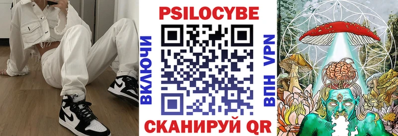MEGA ONION  Кемь  Псилоцибиновые грибы мицелий 